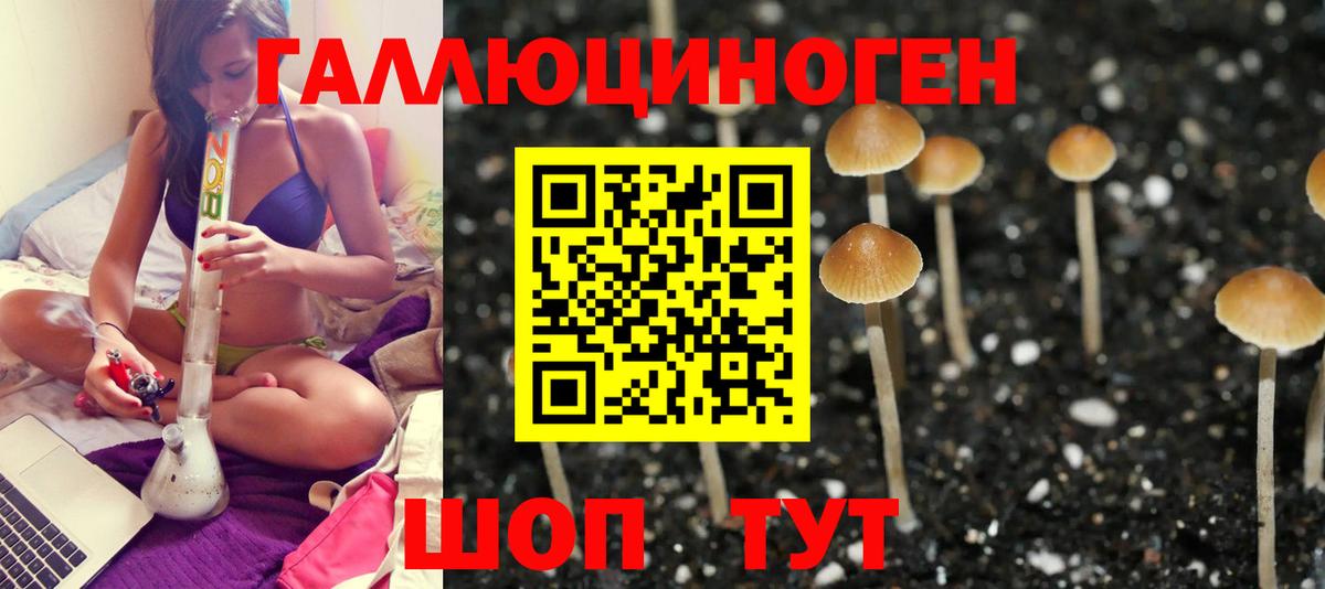 Псилоцибиновые грибы мухоморы Грязи