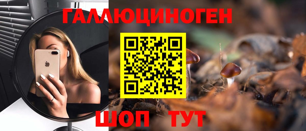 Галлюциногенные грибы Psilocybe  Псилоцибиновые грибы Psilocybine cubensis  Вход с VPN  магазин    Грязи 